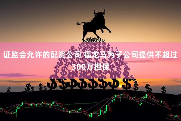 证监会允许的配资公司 福龙马为子公司提供不超过300万担保
