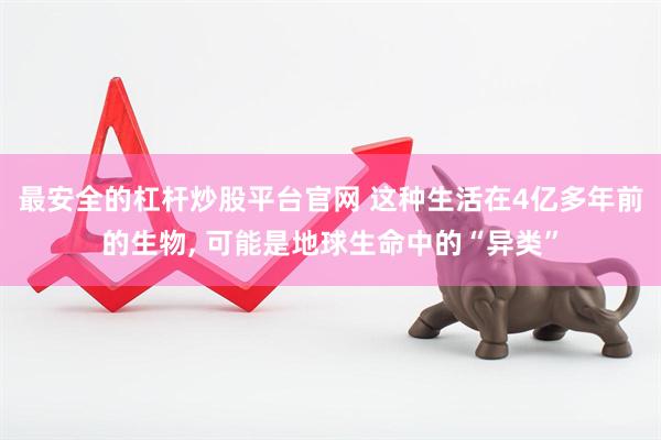 最安全的杠杆炒股平台官网 这种生活在4亿多年前的生物, 可能是地球生命中的“异类”