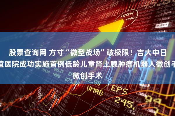 股票查询网 方寸“微型战场”破极限！吉大中日联谊医院成功实施首例低龄儿童肾上腺肿瘤机器人微创手术
